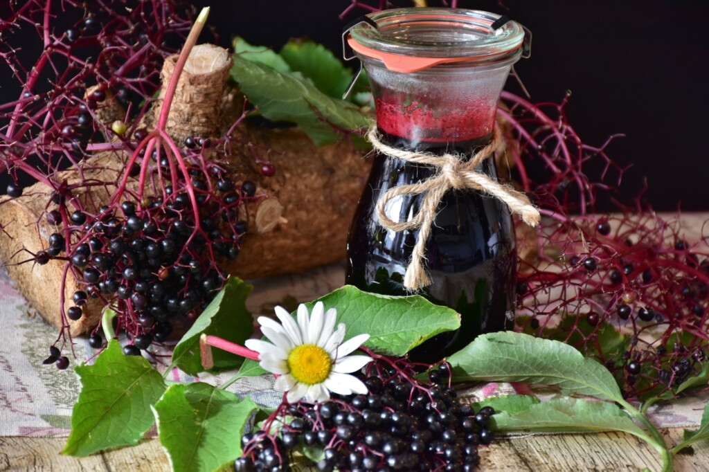 Elderberry for Babies and Kids – Is It Safe